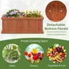 image:imageGiantex Raised Garden Bed Set of 2 31x14x12 Wooden Elevated Planter Box with 4 Drainage Holes amp Detachable Bottom Panels Flower Bed Rectangular Plant Container for Vegetables Herbs amp FruitsOrange