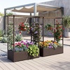 image:imageGiantex Raised Garden Bed with Trellis amp Hanging Roof Rattan Elevated Planter Box with Liner for Climbing Plants Flowers Vegetables Outdoor PE Rattan Planting Box for Backyard Patio amp Porch1